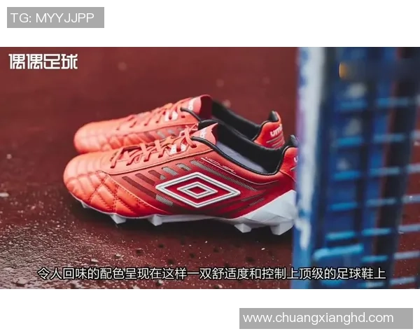 足球明星款限量红酒闪耀登场品味与激情的完美结合 足球明星款限量红酒闪耀登场品味与激情的完美结合