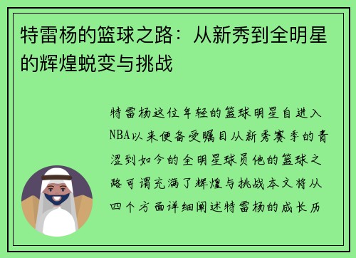 特雷杨的篮球之路：从新秀到全明星的辉煌蜕变与挑战